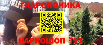 гидропоника Бийск